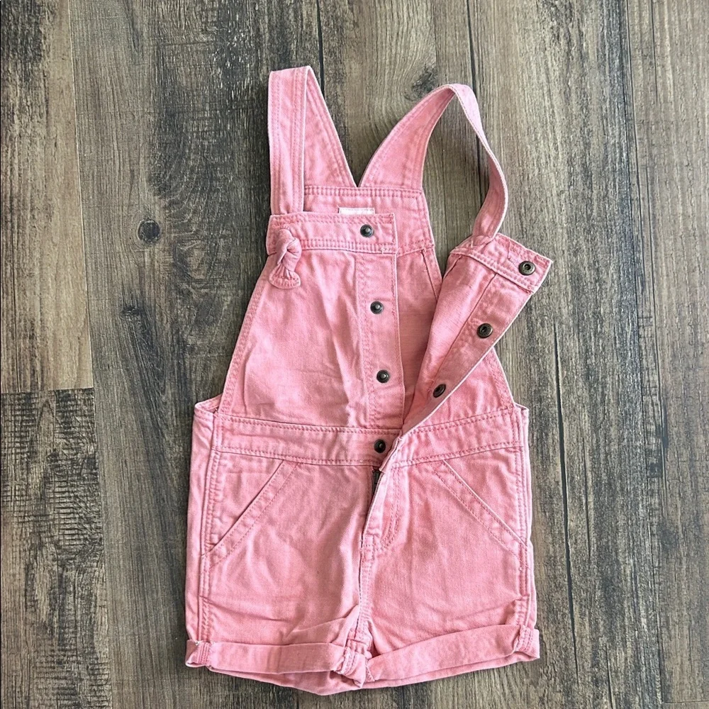 GAP Kids Pink Overalls